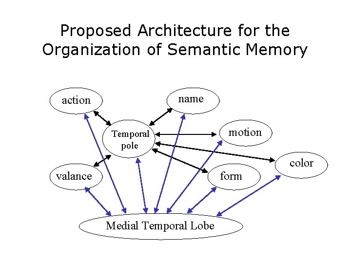 Proposed Architecture for the Organization of Semantic Memory name action Temporal pole motion color