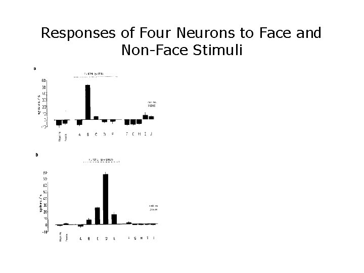 Responses of Four Neurons to Face and Non-Face Stimuli 