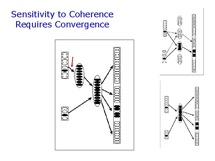 Sensitivity to Coherence Requires Convergence A A A 