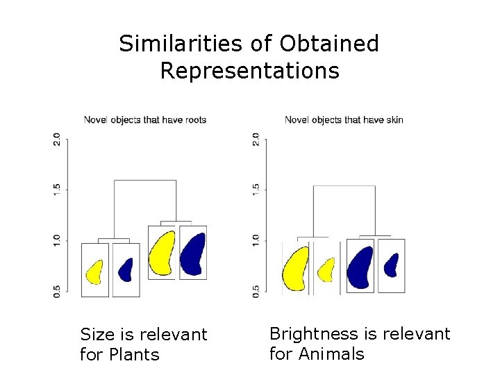 Similarities of Obtained Representations Size is relevant for Plants Brightness is relevant for Animals