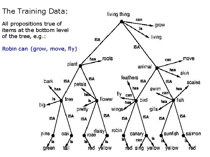 The Training Data: All propositions true of items at the bottom level of the