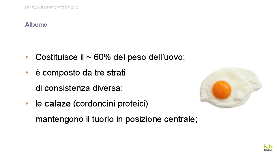 LE UOVA E I PRODOTTI D’UOVO Albume • Costituisce il ~ 60% del peso