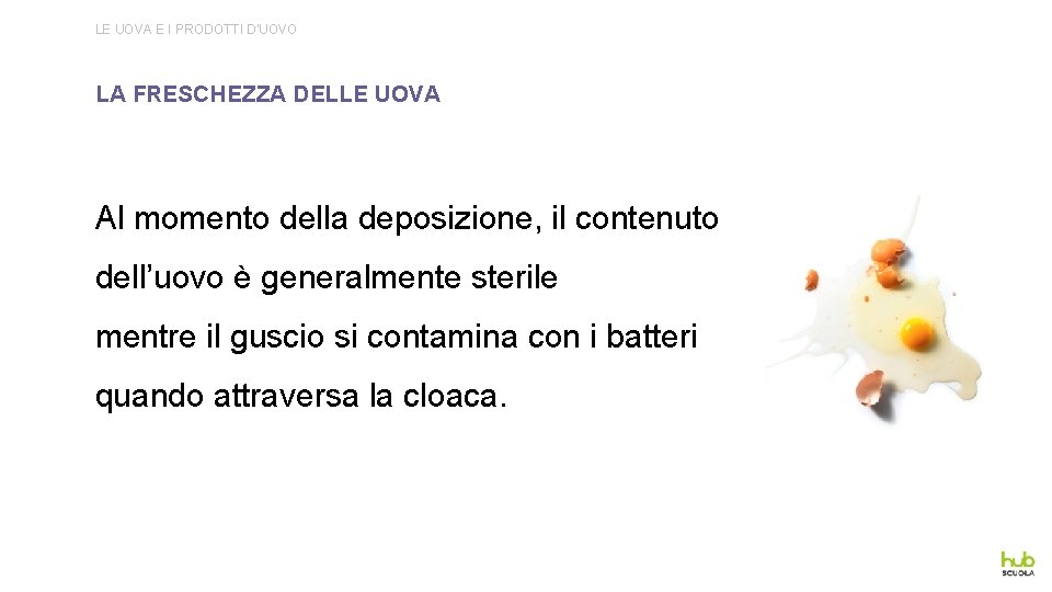 LE UOVA E I PRODOTTI D’UOVO LA FRESCHEZZA DELLE UOVA Al momento della deposizione,
