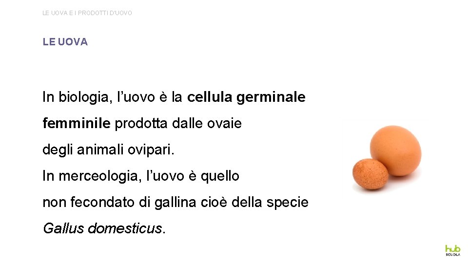 LE UOVA E I PRODOTTI D’UOVO LE UOVA In biologia, l’uovo è la cellula
