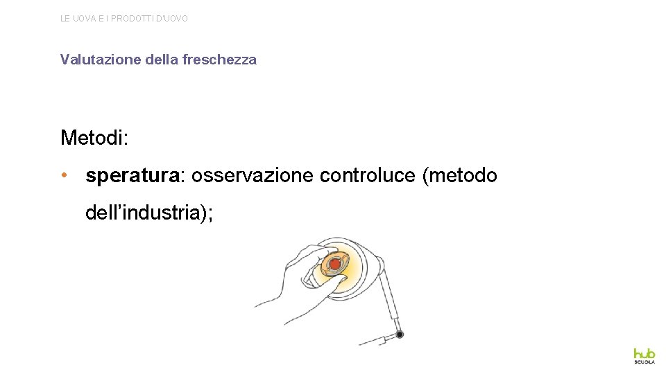 LE UOVA E I PRODOTTI D’UOVO Valutazione della freschezza Metodi: • speratura: osservazione controluce