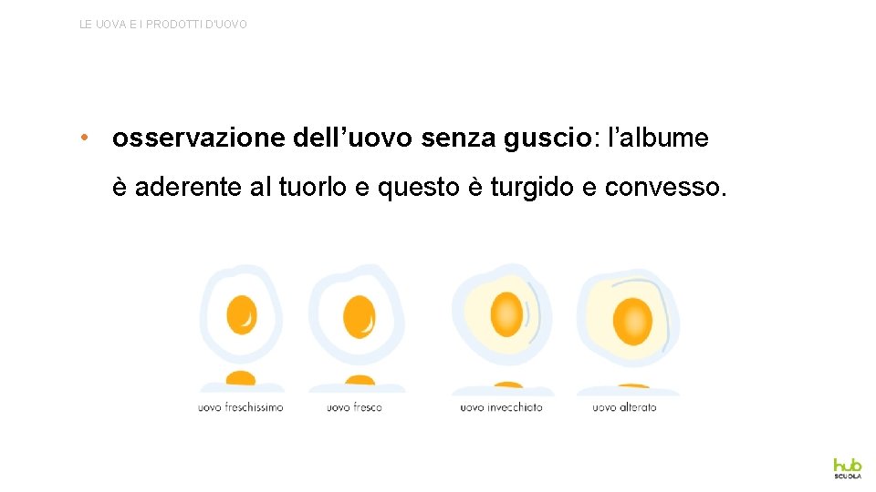 LE UOVA E I PRODOTTI D’UOVO • osservazione dell’uovo senza guscio: l’albume è aderente