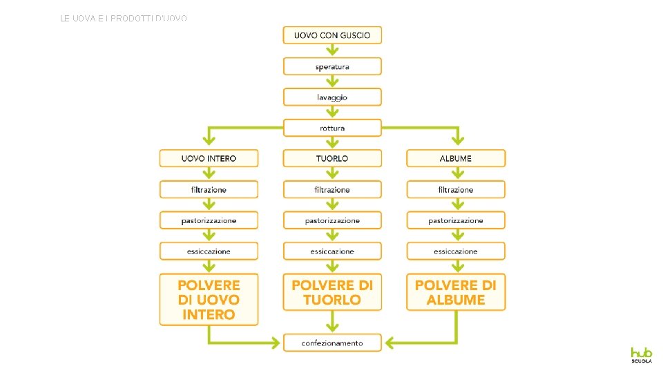 LE UOVA E I PRODOTTI D’UOVO 