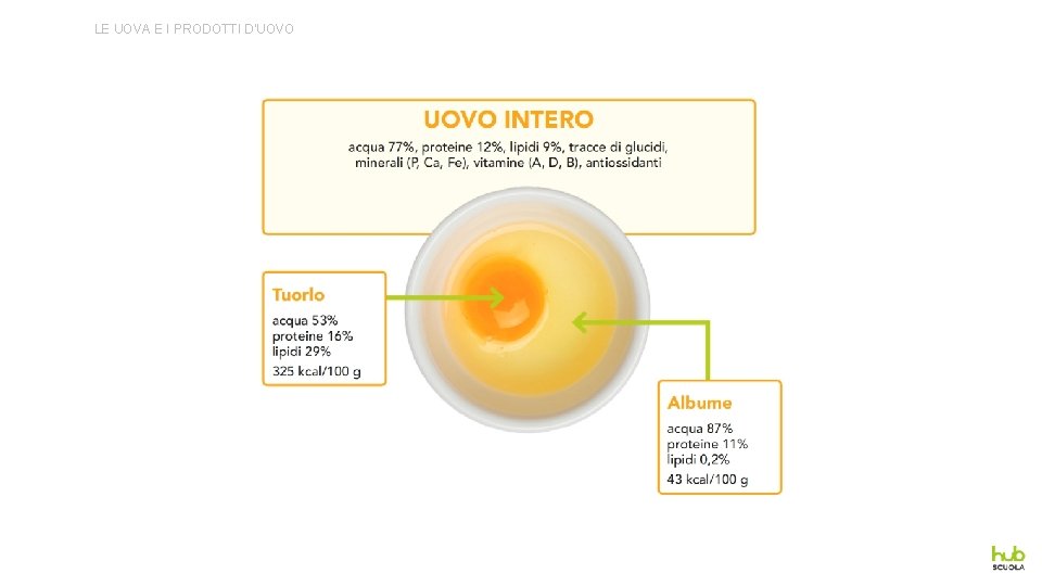 LE UOVA E I PRODOTTI D’UOVO 