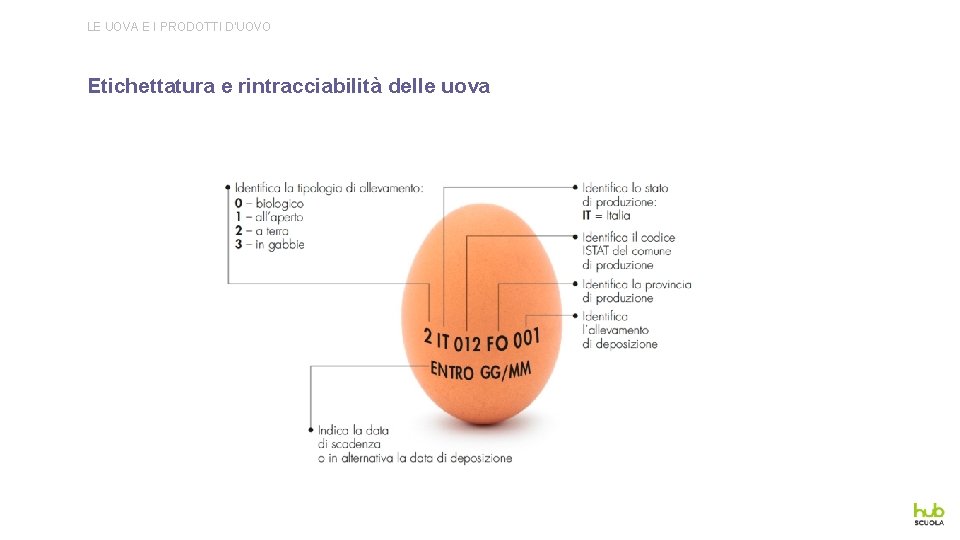 LE UOVA E I PRODOTTI D’UOVO Etichettatura e rintracciabilità delle uova 