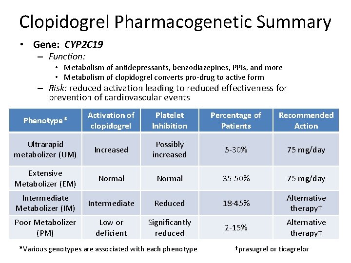 Clopidogrel Pharmacogenetic Summary • Gene: CYP 2 C 19 – Function: • Metabolism of