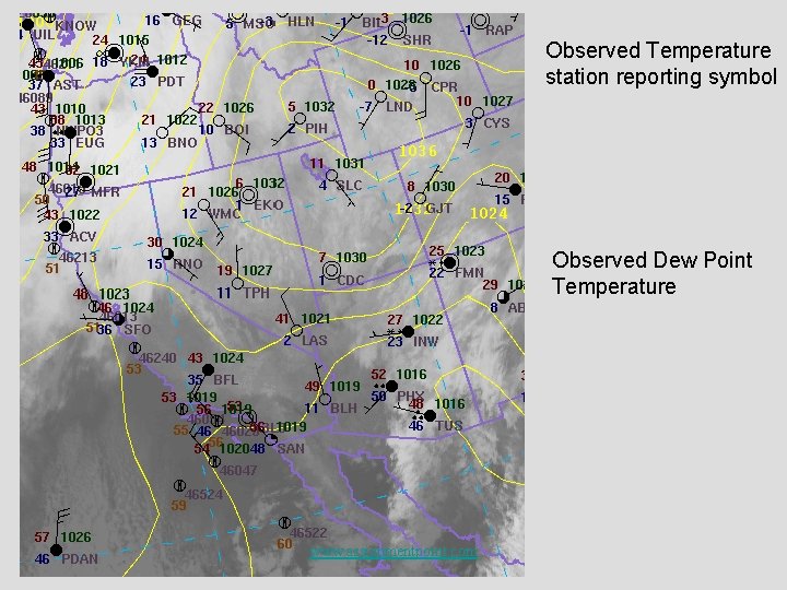 Observed Temperature station reporting symbol Observed Dew Point Temperature www. assignmentpoint. com 