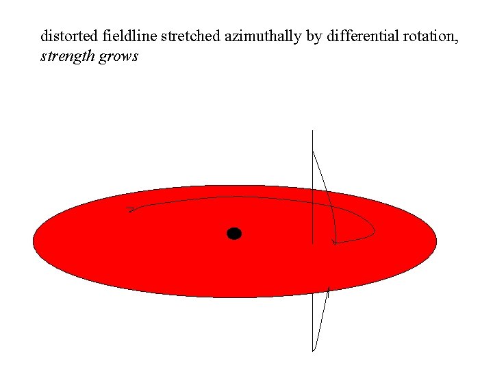 distorted fieldline stretched azimuthally by differential rotation, strength grows 