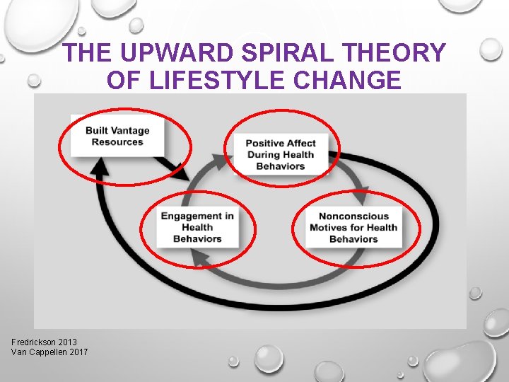 THE UPWARD SPIRAL THEORY OF LIFESTYLE CHANGE Fredrickson 2013 Van Cappellen 2017 
