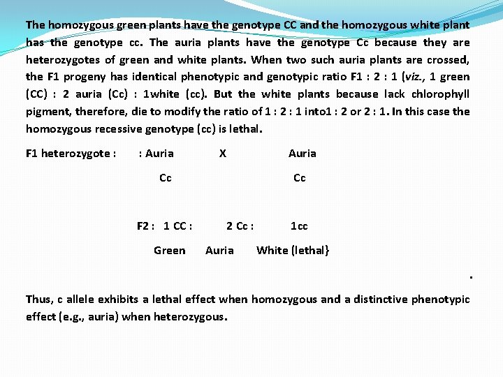 The homozygous green plants have the genotype CC and the homozygous white plant has