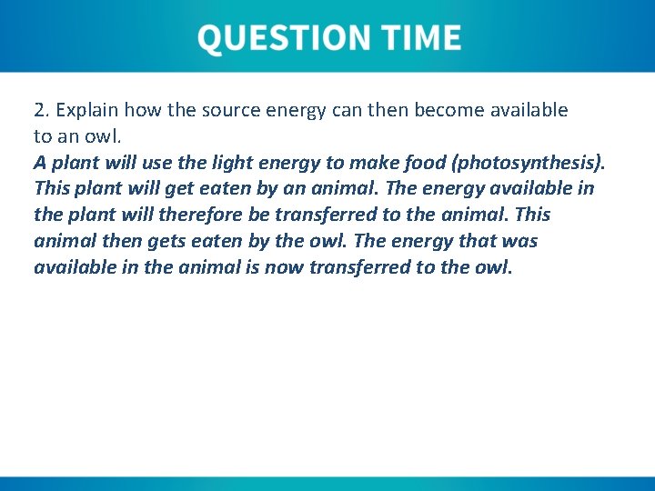 2. Explain how the source energy can then become available to an owl. A