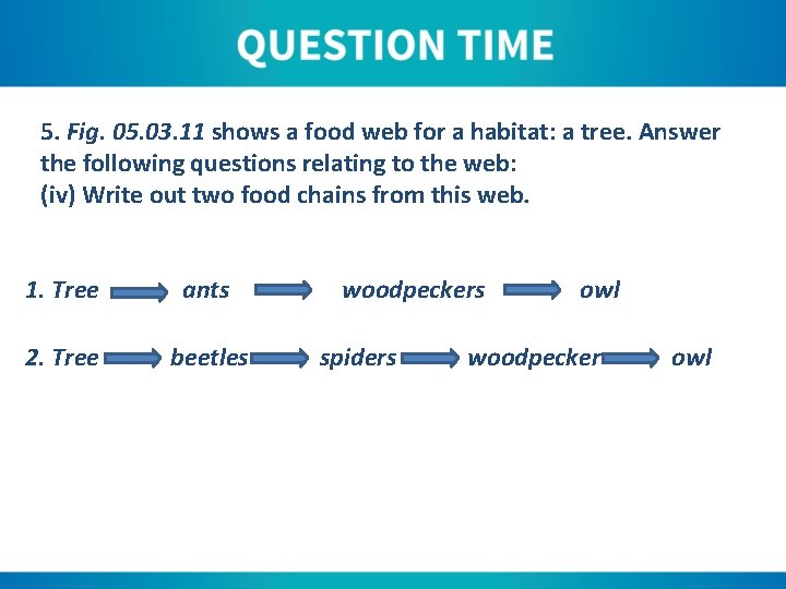 5. Fig. 05. 03. 11 shows a food web for a habitat: a tree.