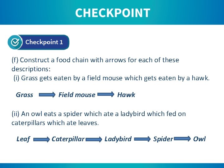 (f) Construct a food chain with arrows for each of these descriptions: (i) Grass