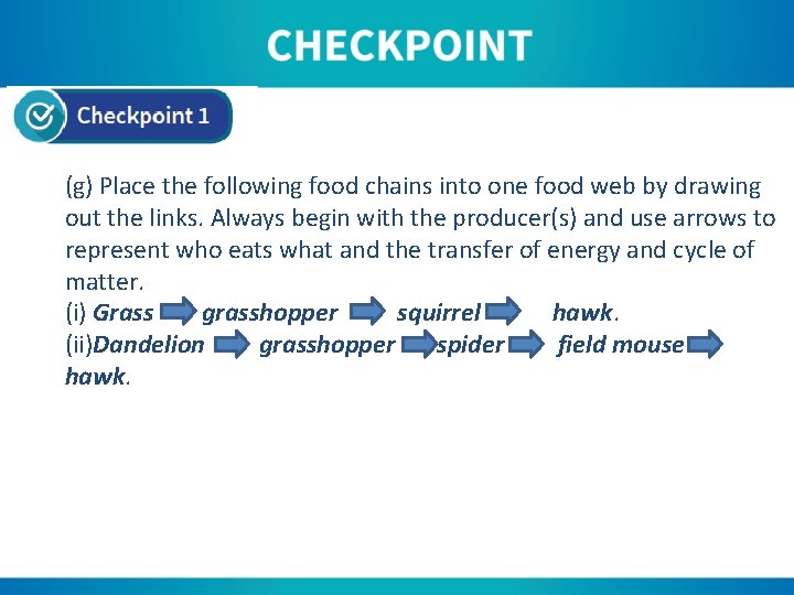 (g) Place the following food chains into one food web by drawing out the
