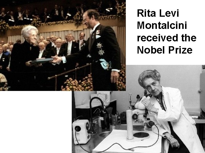 Rita Levi Montalcini received the Nobel Prize 