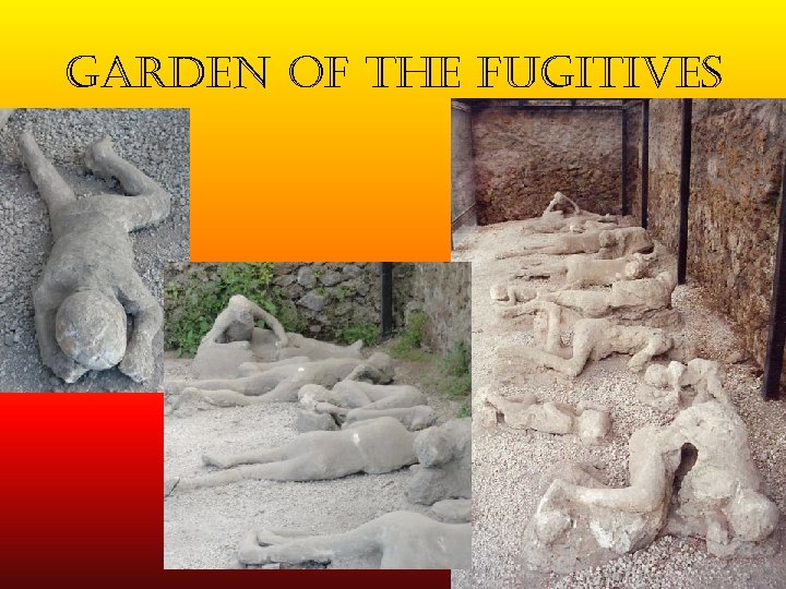 garden of the fugitives 