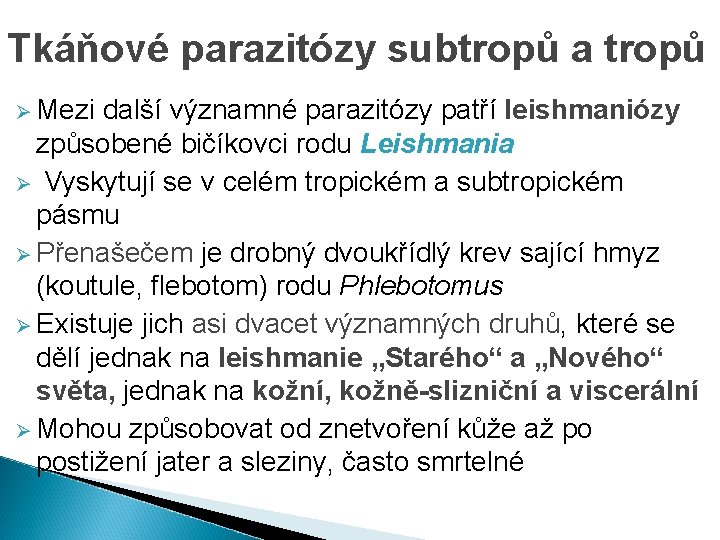 Tkáňové parazitózy subtropů a tropů Ø Mezi další významné parazitózy patří leishmaniózy způsobené bičíkovci