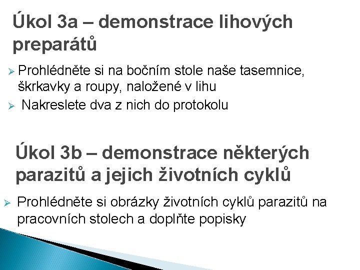 Úkol 3 a – demonstrace lihových preparátů Ø Prohlédněte si na bočním stole naše