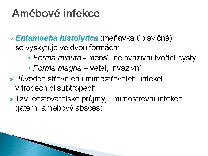 Amébové infekce Ø Entamoeba histolytica (měňavka úplavičná) se vyskytuje ve dvou formách: • Forma