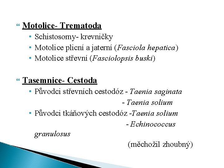  Motolice- Trematoda • Schistosomy- krevničky • Motolice plicní a jaterní (Fasciola hepatica) •