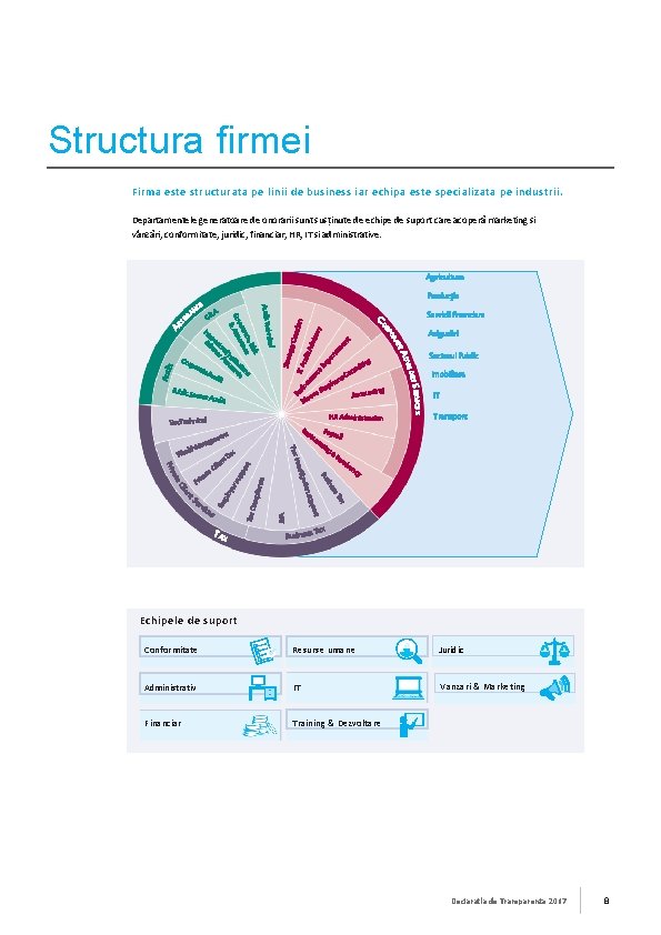 Structura firmei Firma este structurata pe linii de business iar echipa este specializata pe