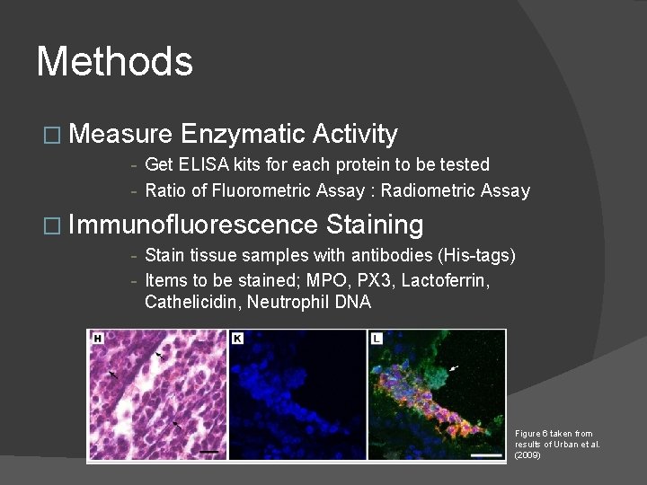 Methods � Measure Enzymatic Activity - Get ELISA kits for each protein to be