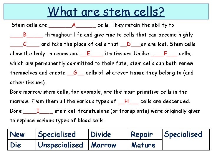 What are stem cells? Stem cells are _______A______ cells. They retain the ability to