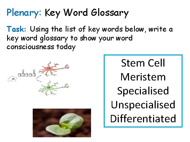 Plenary: Key Word Glossary Task: Using the list of key words below, write a