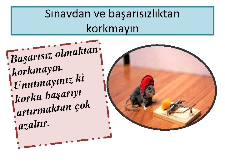 Sınavdan ve başarısızlıktan korkmayın n a t k a m l o z ı Sınavdan ve başarısızlıktan korkmayın n a t k a m l o z ı