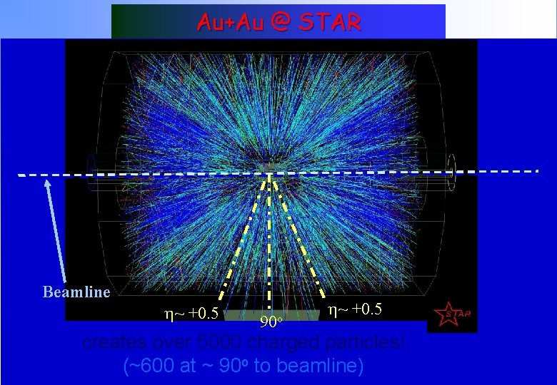 Au+Au @ STAR Beamline h~ +0. 5 Quark. Net 2006 90 o h~ +0.