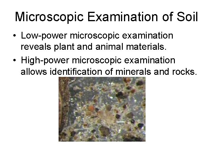 Microscopic Examination of Soil • Low-power microscopic examination reveals plant and animal materials. •