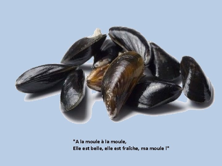 "A la moule à la moule, Elle est belle, elle est fraîche, ma moule