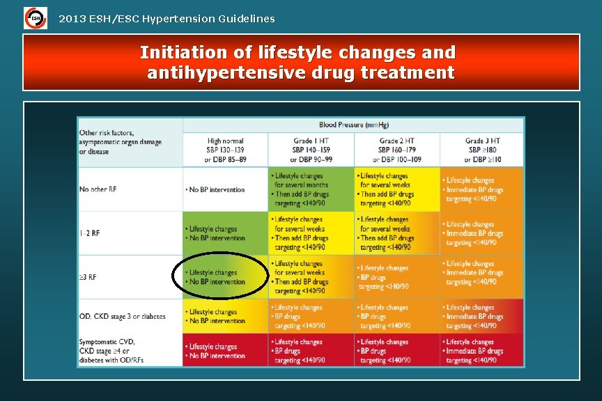 2013 ESH/ESC Hypertension Guidelines Initiation of lifestyle changes and antihypertensive drug treatment 