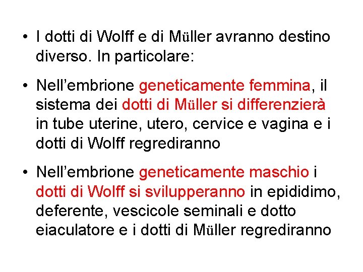  • I dotti di Wolff e di Müller avranno destino diverso. In particolare: