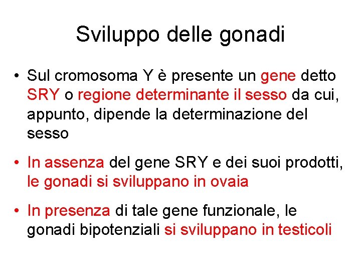 Sviluppo delle gonadi • Sul cromosoma Y è presente un gene detto SRY o