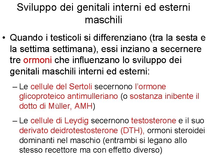 Sviluppo dei genitali interni ed esterni maschili • Quando i testicoli si differenziano (tra