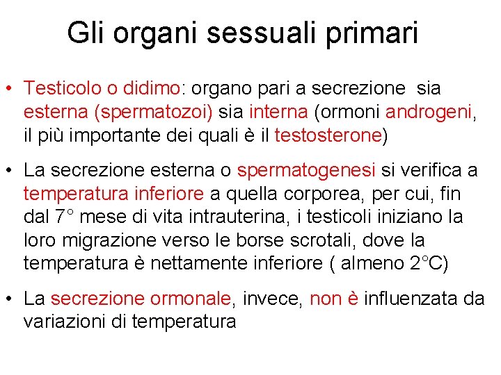 Gli organi sessuali primari • Testicolo o didimo: organo pari a secrezione sia esterna