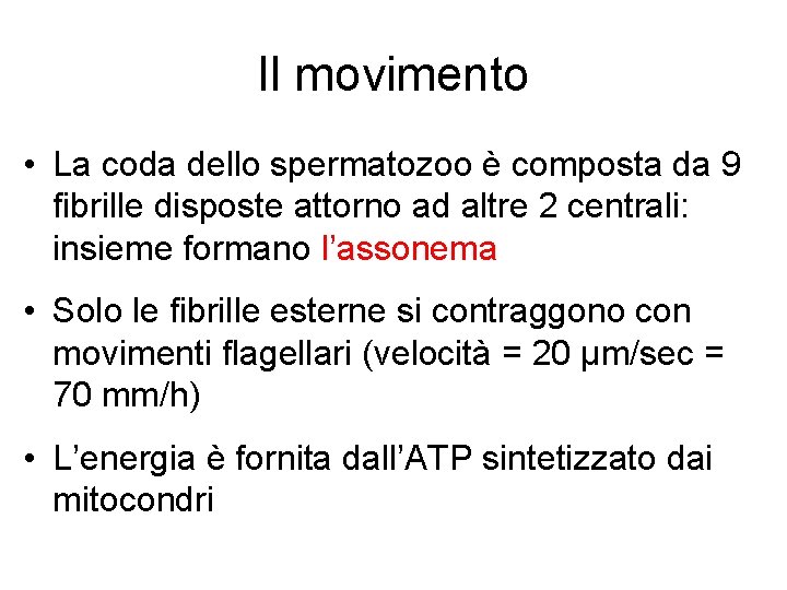 Il movimento • La coda dello spermatozoo è composta da 9 fibrille disposte attorno