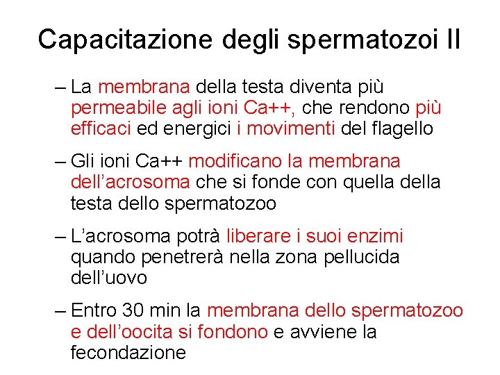 Capacitazione degli spermatozoi II – La membrana della testa diventa più permeabile agli ioni