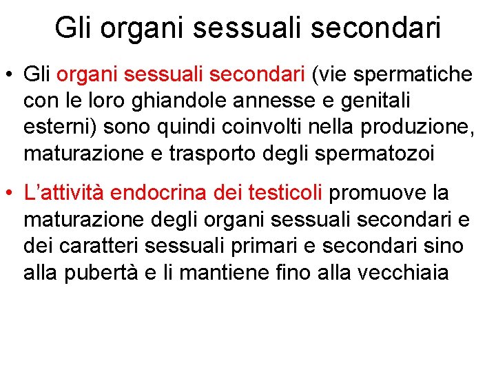 Gli organi sessuali secondari • Gli organi sessuali secondari (vie spermatiche con le loro