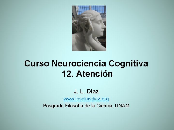 Curso Neurociencia Cognitiva 12. Atención J. L. Díaz www. joseluisdiaz. org Posgrado Filosofía de