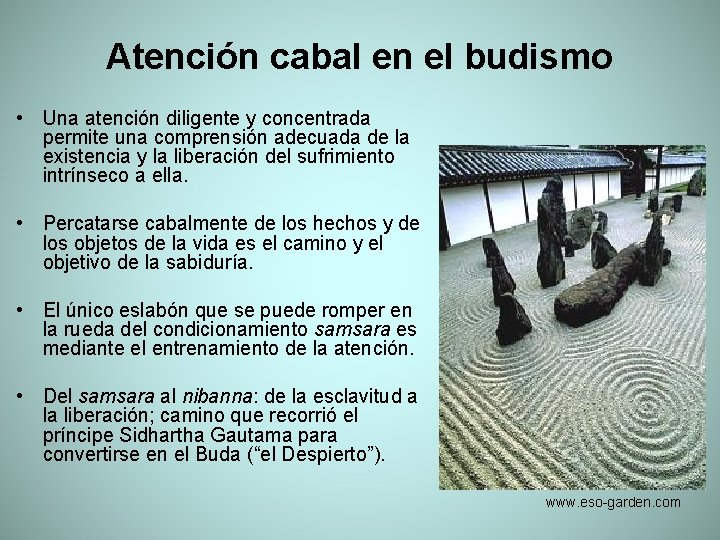 Atención cabal en el budismo • Una atención diligente y concentrada permite una comprensión