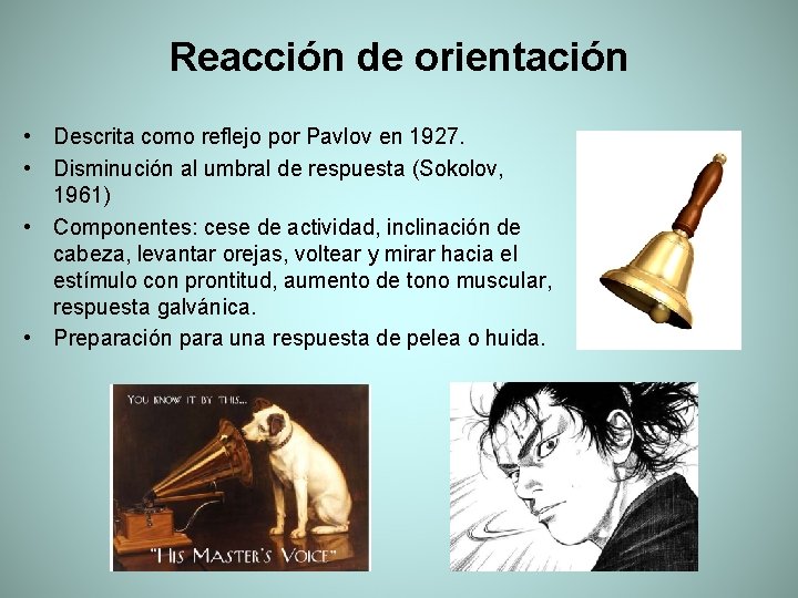 Reacción de orientación • Descrita como reflejo por Pavlov en 1927. • Disminución al