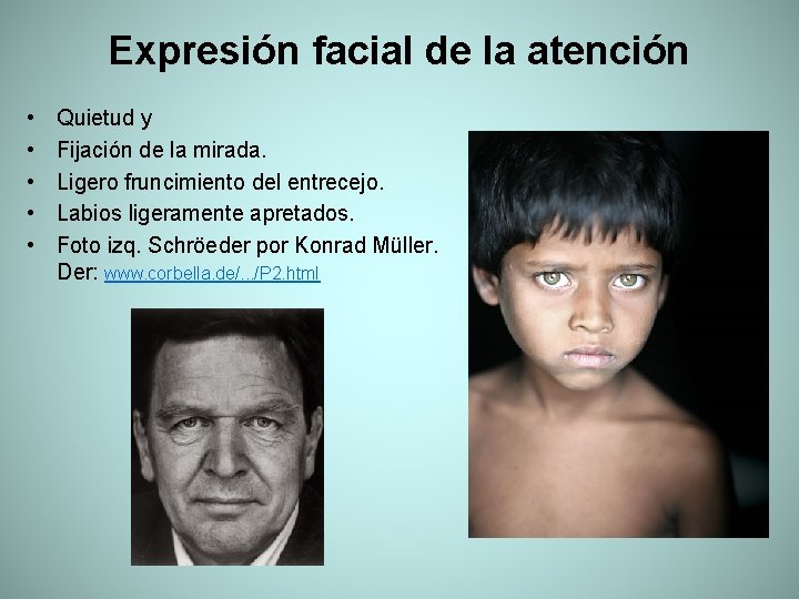 Expresión facial de la atención • • • Quietud y Fijación de la mirada.