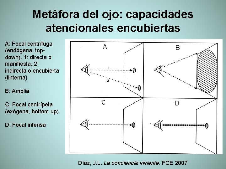 Metáfora del ojo: capacidades atencionales encubiertas A: Focal centrífuga (endógena, topdown). 1: directa o