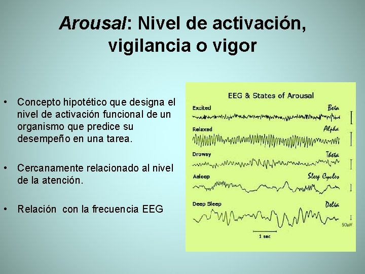 Arousal: Nivel de activación, vigilancia o vigor • Concepto hipotético que designa el nivel